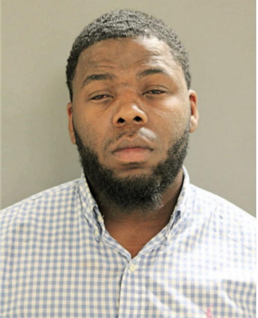 JULIAN M ROSS, Cook County, Illinois