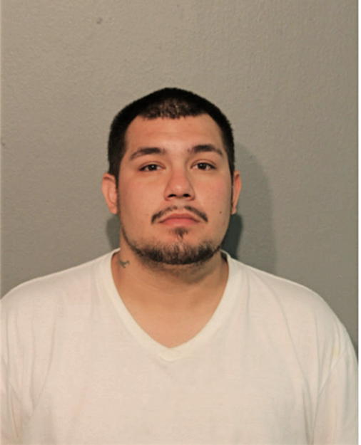 STEVO L STOJSAVLJEVIC, Cook County, Illinois