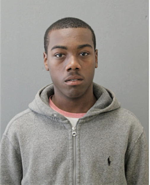 JEROME E TURNER, Cook County, Illinois