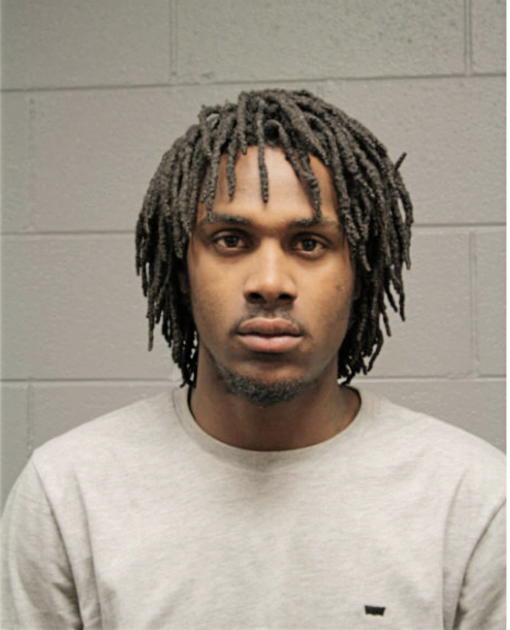 ROBERT W WATKINS, Cook County, Illinois