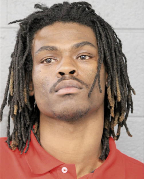 STEVEN D WEBB, Cook County, Illinois