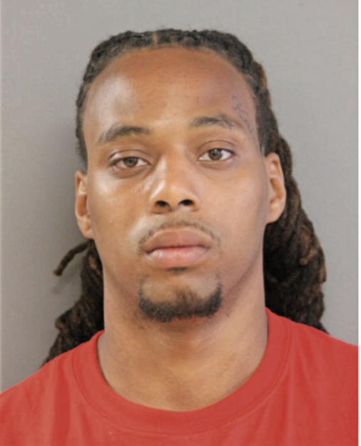 LOUIS WOODS, Cook County, Illinois