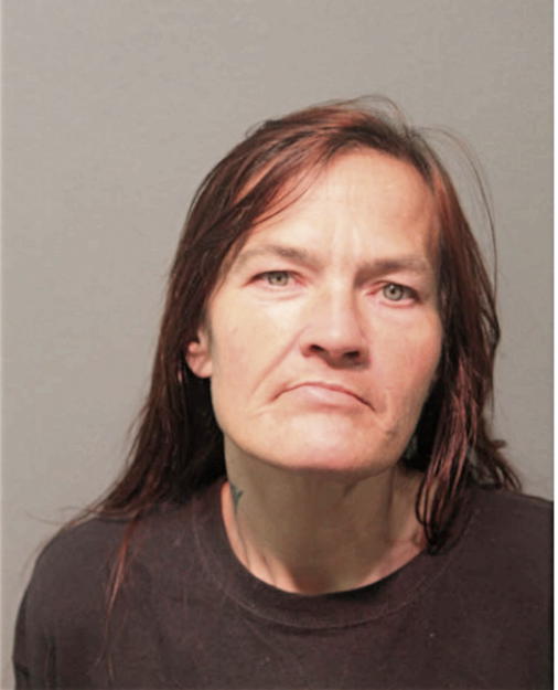 ALETA ZIOLKOWSKI, Cook County, Illinois