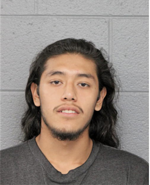 GUADALUPE J AVELAR-CARVAJAL, Cook County, Illinois