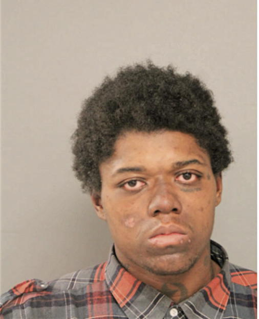 WILLIS L BLEDSOE, Cook County, Illinois