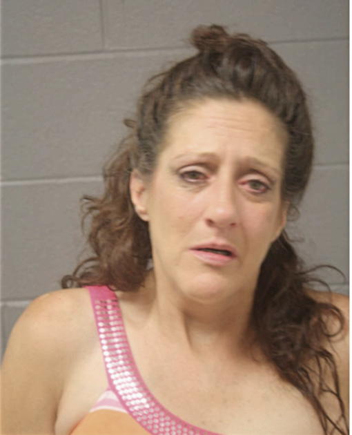 DONNA M BOSI, Cook County, Illinois