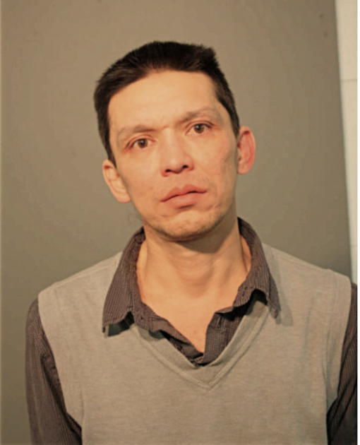 TAM H BUI, Cook County, Illinois