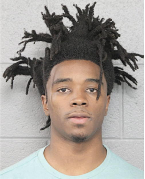NATHAN L BURTON, Cook County, Illinois