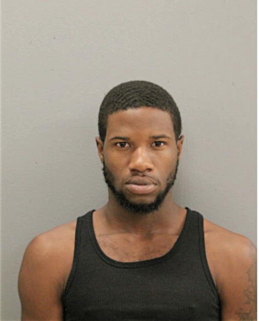 BRIAN E COLLINS, Cook County, Illinois
