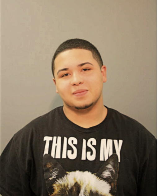 CARLOS F DEJESUS, Cook County, Illinois