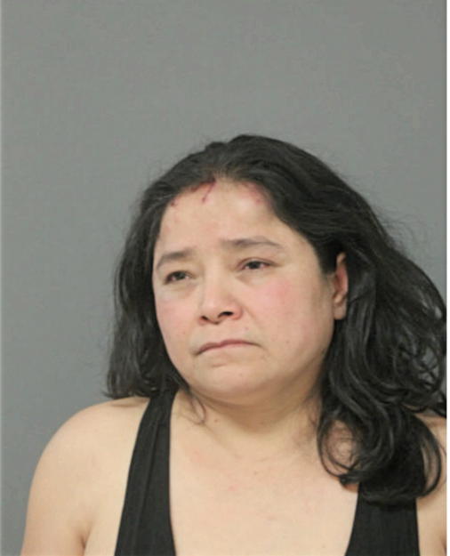 CARMEN ELASCAS-RUIZ, Cook County, Illinois