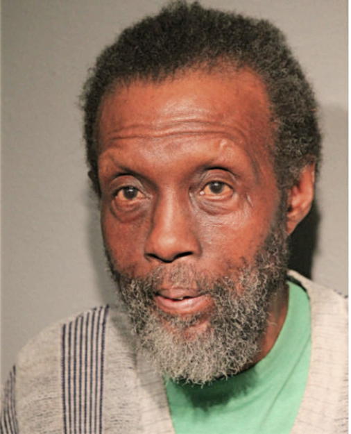CHARLES E FLEMING, Cook County, Illinois