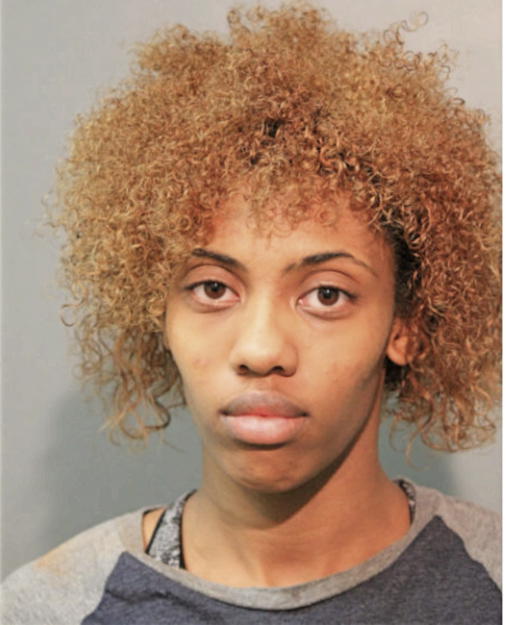 BRANDY L FORD, Cook County, Illinois