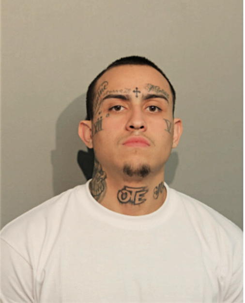 ARMANDO GONZALEZ, Cook County, Illinois