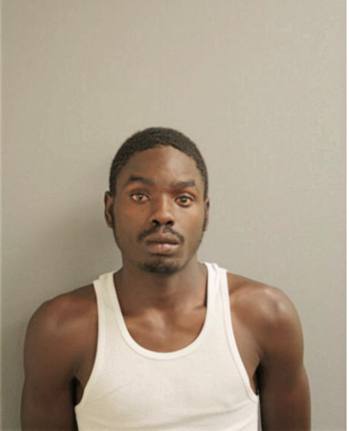 TYREESE L HAGGINS, Cook County, Illinois