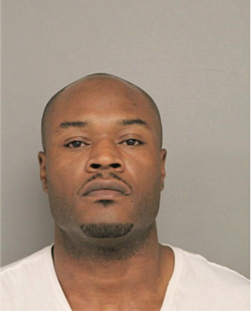DAVID L JOHNSON, Cook County, Illinois