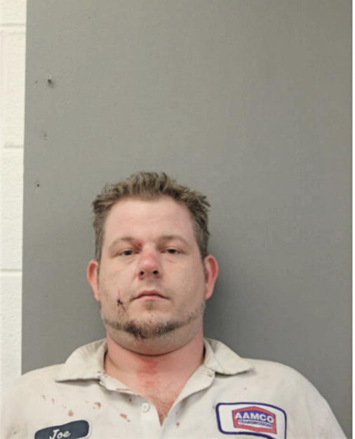 JOSEPH R JOHNSON, Cook County, Illinois