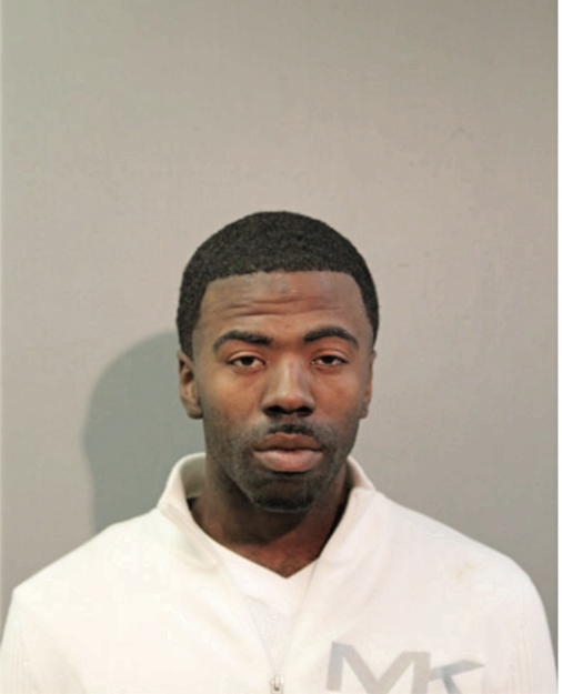 TYRONE M JOHNSON, Cook County, Illinois