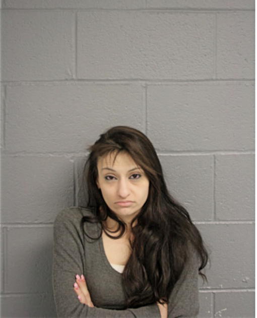 NAHRIN S LAZZAR, Cook County, Illinois