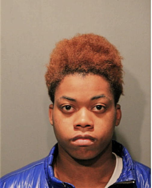 JORDAN R LEWIS, Cook County, Illinois