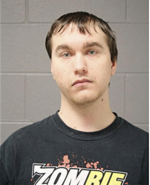 SCOTT S LINNEMAN, Cook County, Illinois