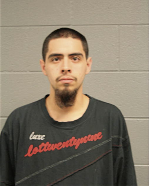 LAWRENCE LOPEZ-AVILA, Cook County, Illinois