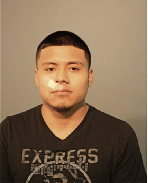 ALFREDO MEDINA, Cook County, Illinois