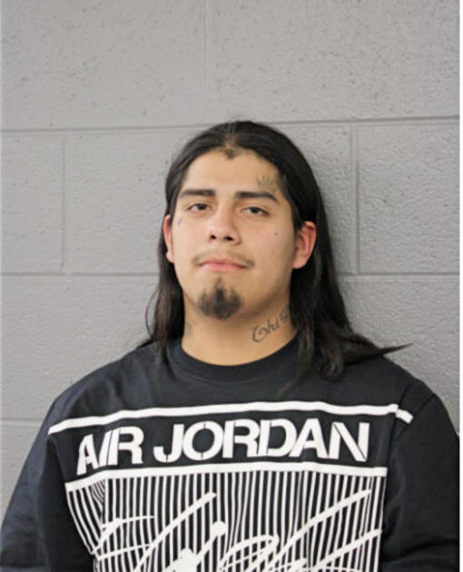 DOMINGO MENDOZA, Cook County, Illinois