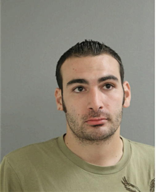 NICHOLAS J MONTAINI, Cook County, Illinois