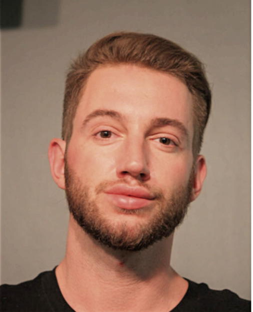 ALEKSANDAR OSTOJIC, Cook County, Illinois