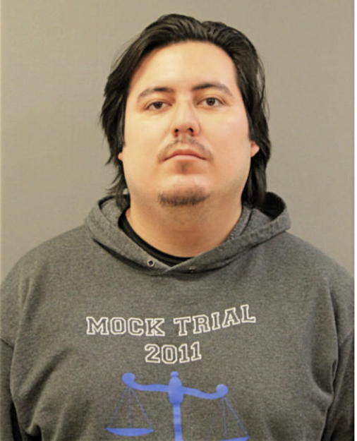 GIOVANNI A PALOMINO, Cook County, Illinois