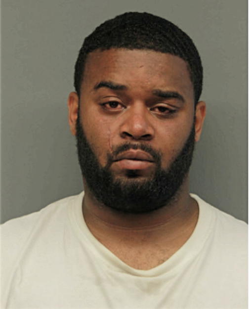 ERIC L PETTIT-ANDERSON, Cook County, Illinois