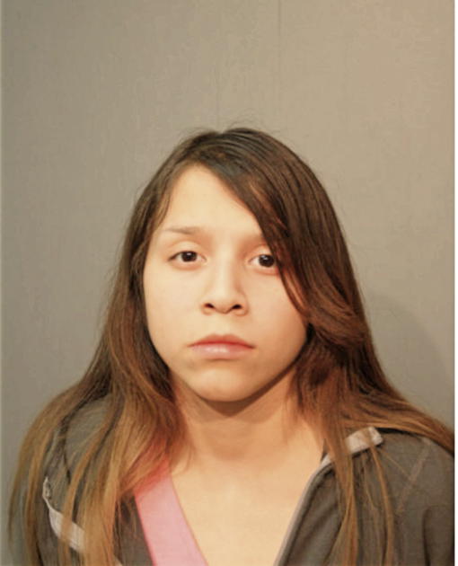 PAULA O ROMAN, Cook County, Illinois