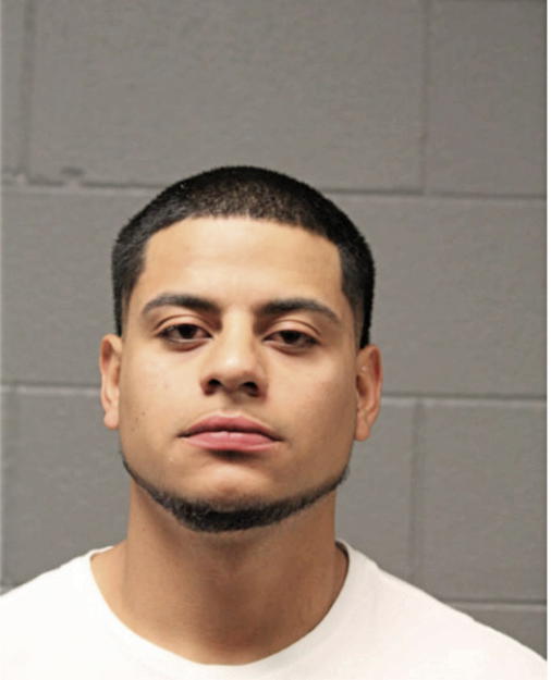 NOEL ROSA, Cook County, Illinois