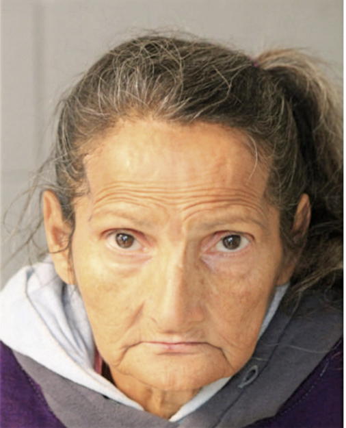 CARMELITA I STIPEK, Cook County, Illinois