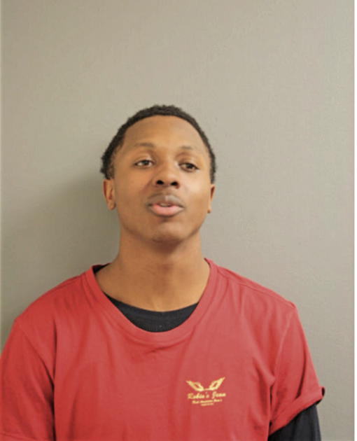 DAVID M THOMPSON, Cook County, Illinois