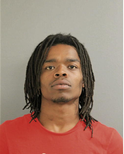 ROBERT M WARREN, Cook County, Illinois