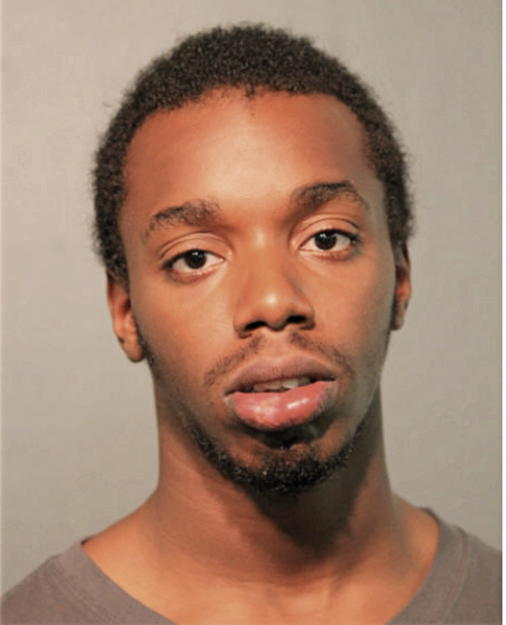 CHRISTOPHER K YOUNG, Cook County, Illinois