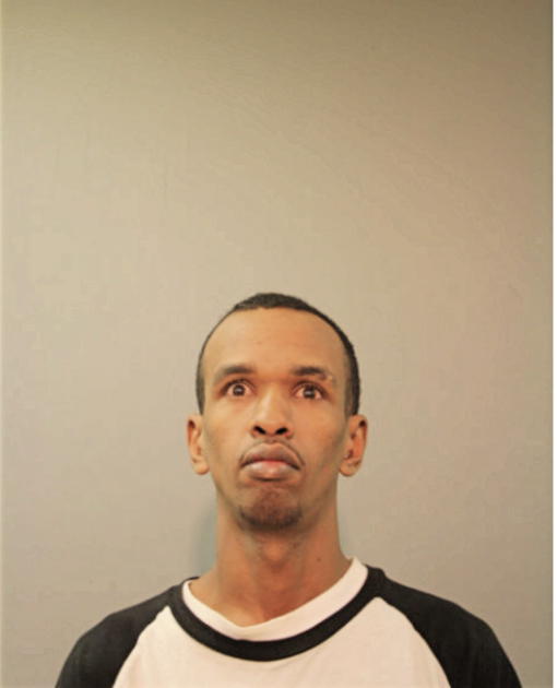 MOHAMED A AHMED, Cook County, Illinois