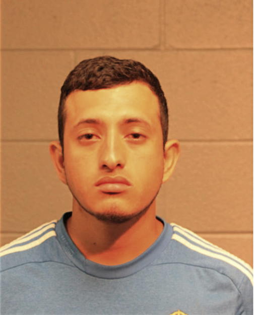 ARMANDO ALVAREZ, Cook County, Illinois
