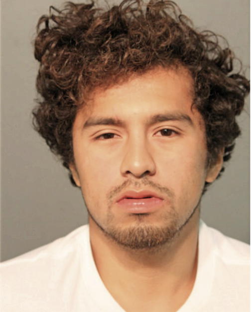 PEDRO BAHENA, Cook County, Illinois