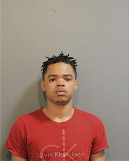 JOSHUA S BENAMON, Cook County, Illinois