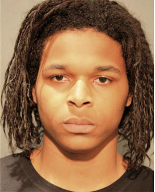 STEPHON J GOLDSMITH, Cook County, Illinois