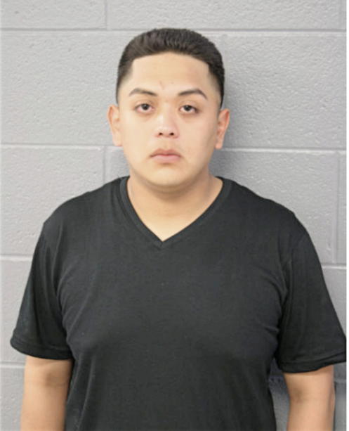MIGUEL ANGEL GONZAGA, Cook County, Illinois