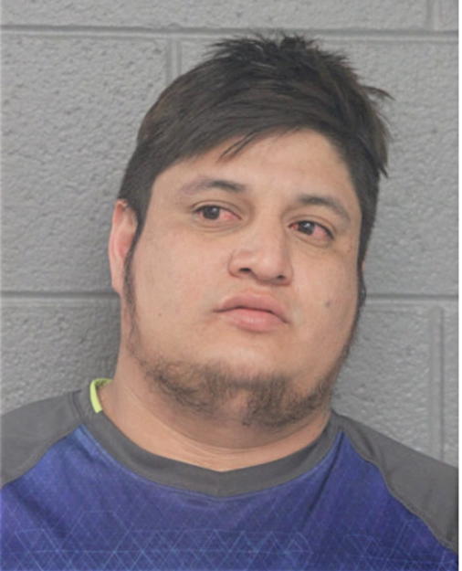 LEONARDO RESENDIS GONZALEZ, Cook County, Illinois