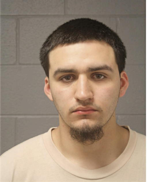 ALBERTO INIGUEZ-VENEGAS, Cook County, Illinois