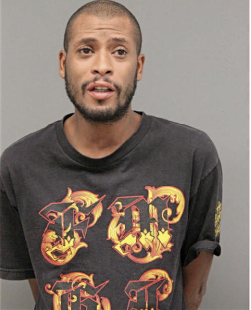 BRANDON L JOHNSON, Cook County, Illinois