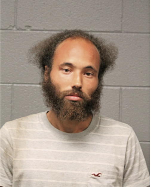 DAVID W JONES, Cook County, Illinois