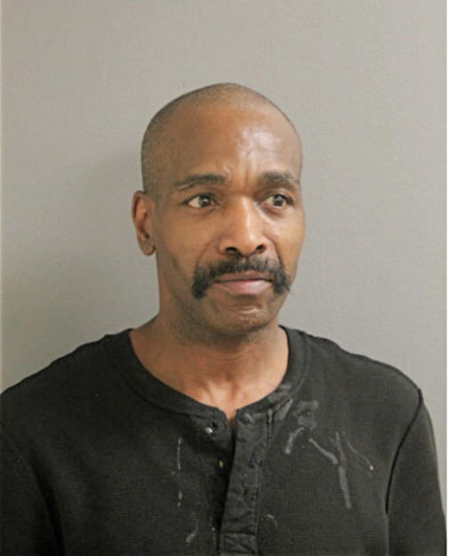 FERNANZA LEWIS, Cook County, Illinois