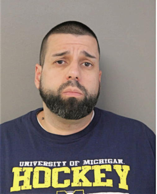 LUIS A LUNA, Cook County, Illinois